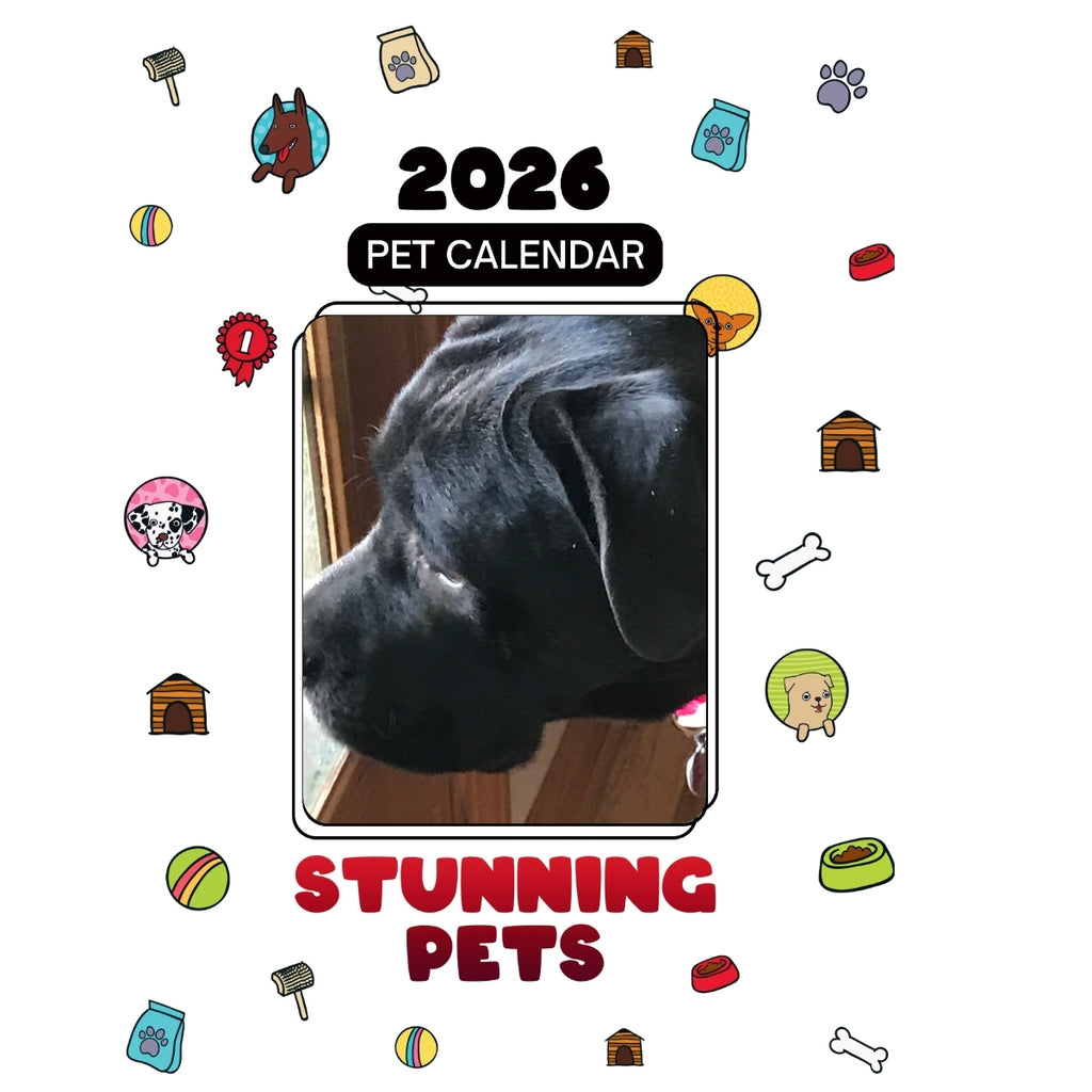 8649092286 Headlines Stunning Pets: A 2026 Pet Calendar
