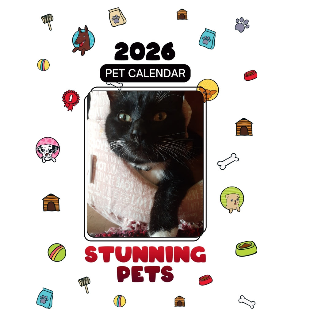 47 Headlines Stunning Pets: A 2026 Pet Calendar