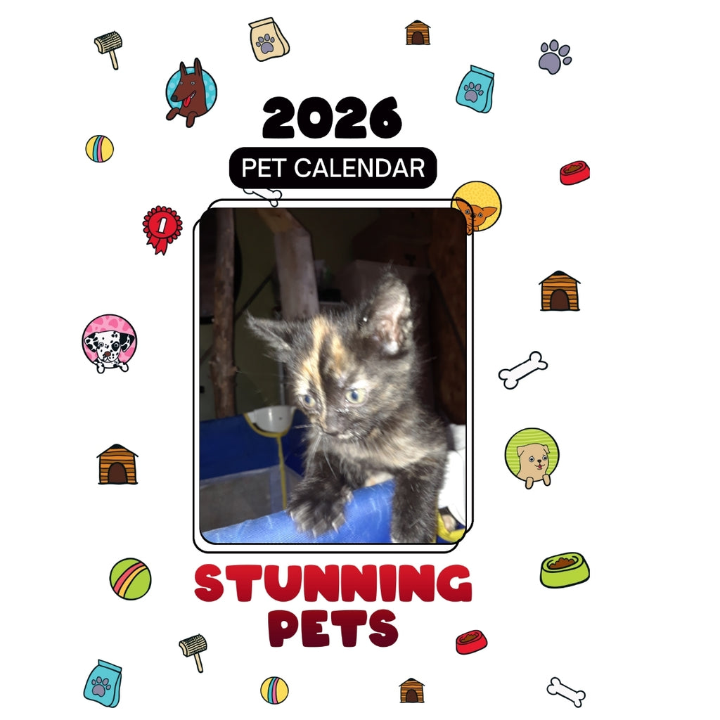 1 Headlines Stunning Pets: A 2026 Pet Calendar