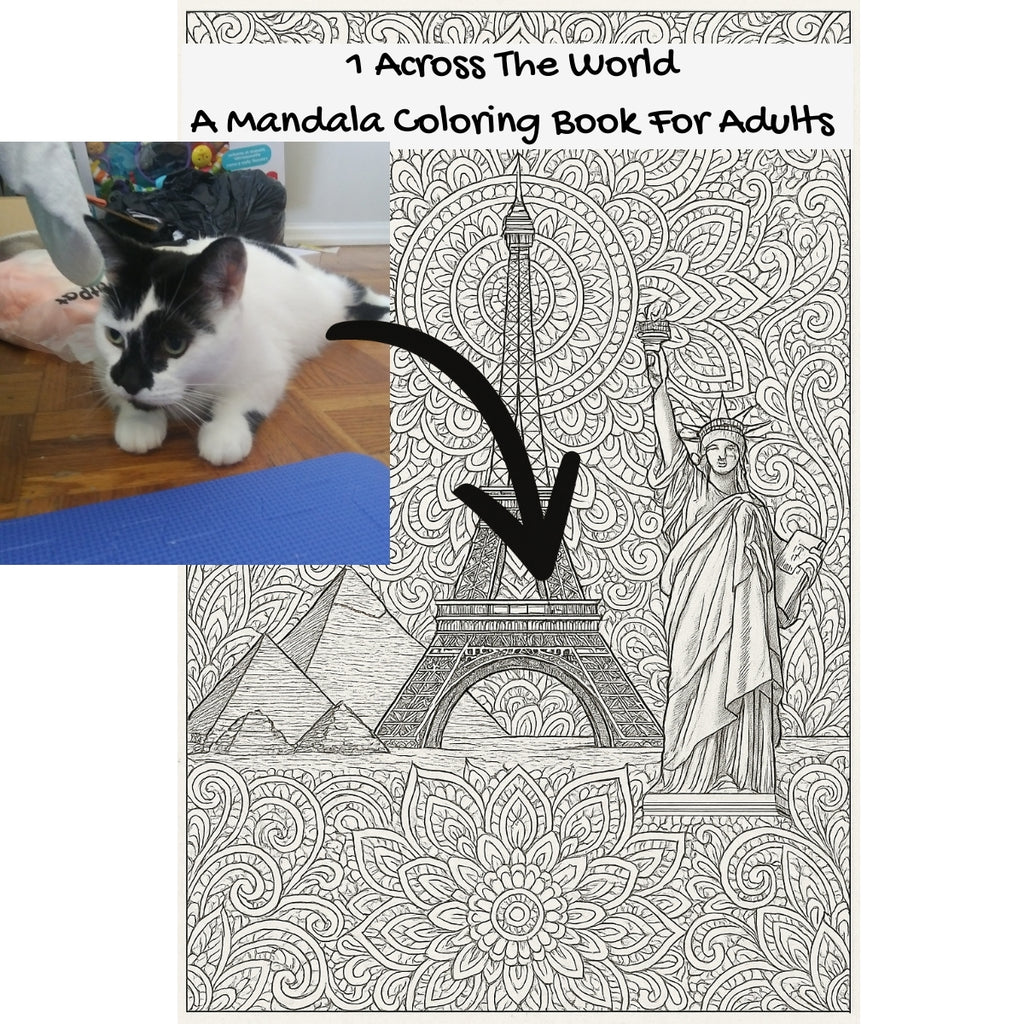 1 Across The World: A Mandala Coloring Book For Adults
