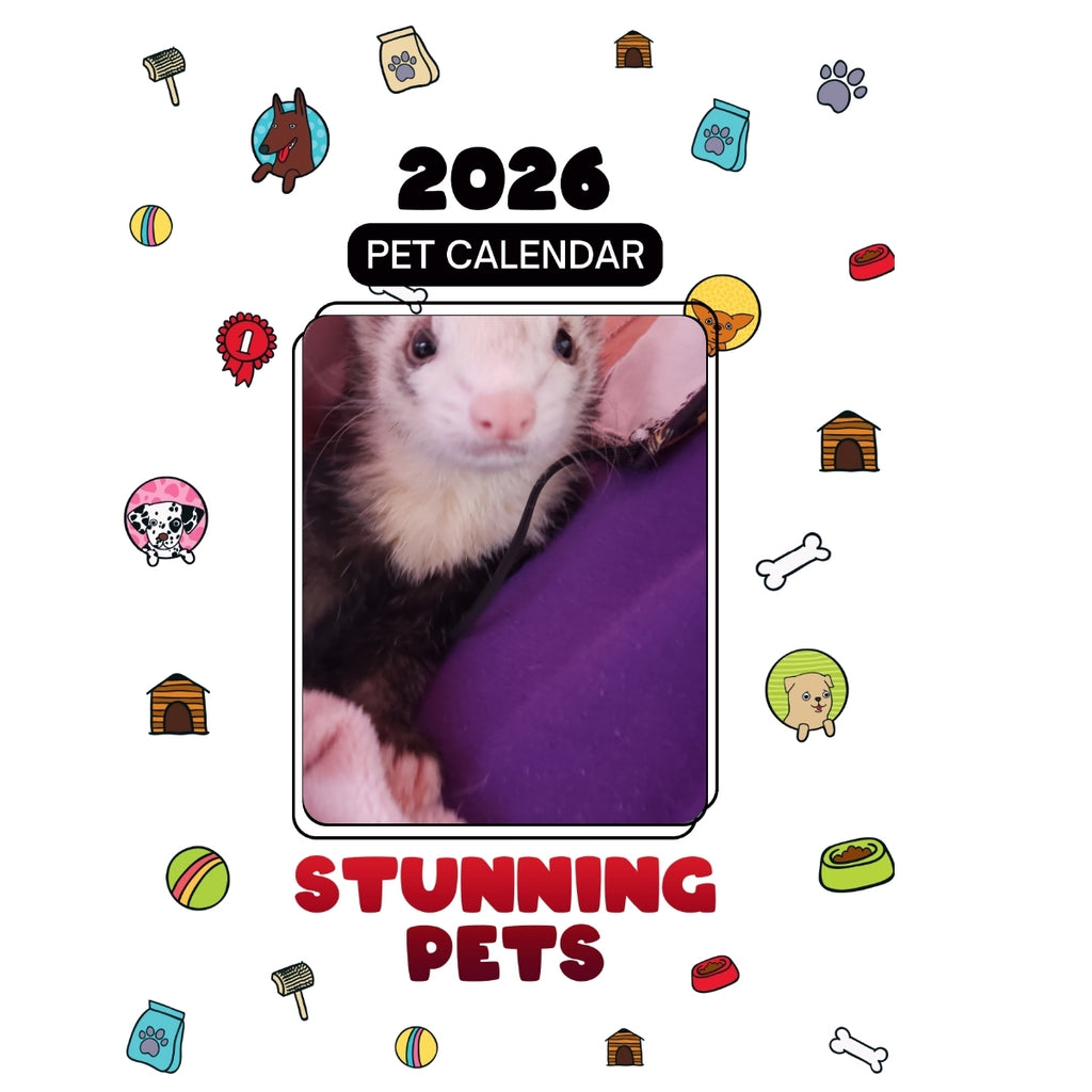 Ferrets Headlines Stunning Pets: A 2026 Pet Calendar