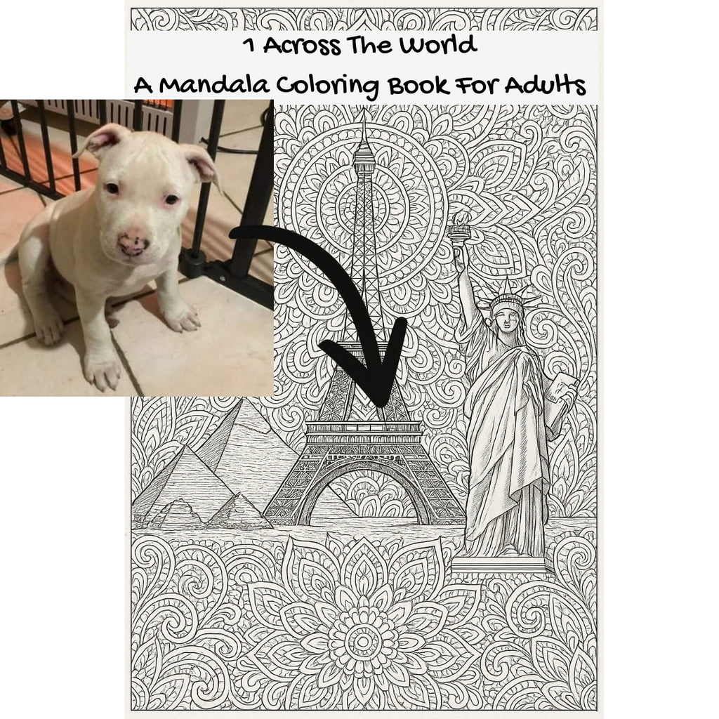 1 Across The World: A Mandala Coloring Book For Adults