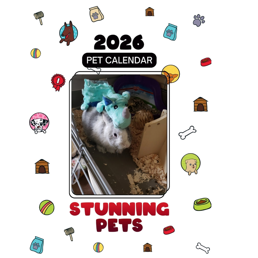 1 Headlines Stunning Pets: A 2026 Pet Calendar
