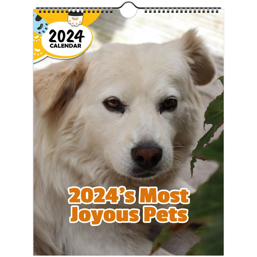 2024's Most Joyous Pets: 2024 Wall Calendar (Published)