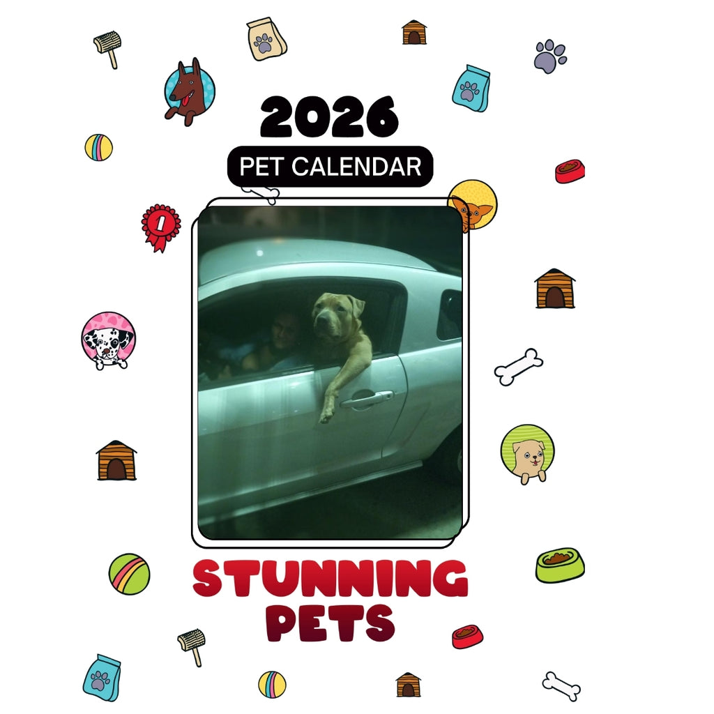 (Bull)Dozer Headlines Stunning Pets: A 2026 Pet Calendar