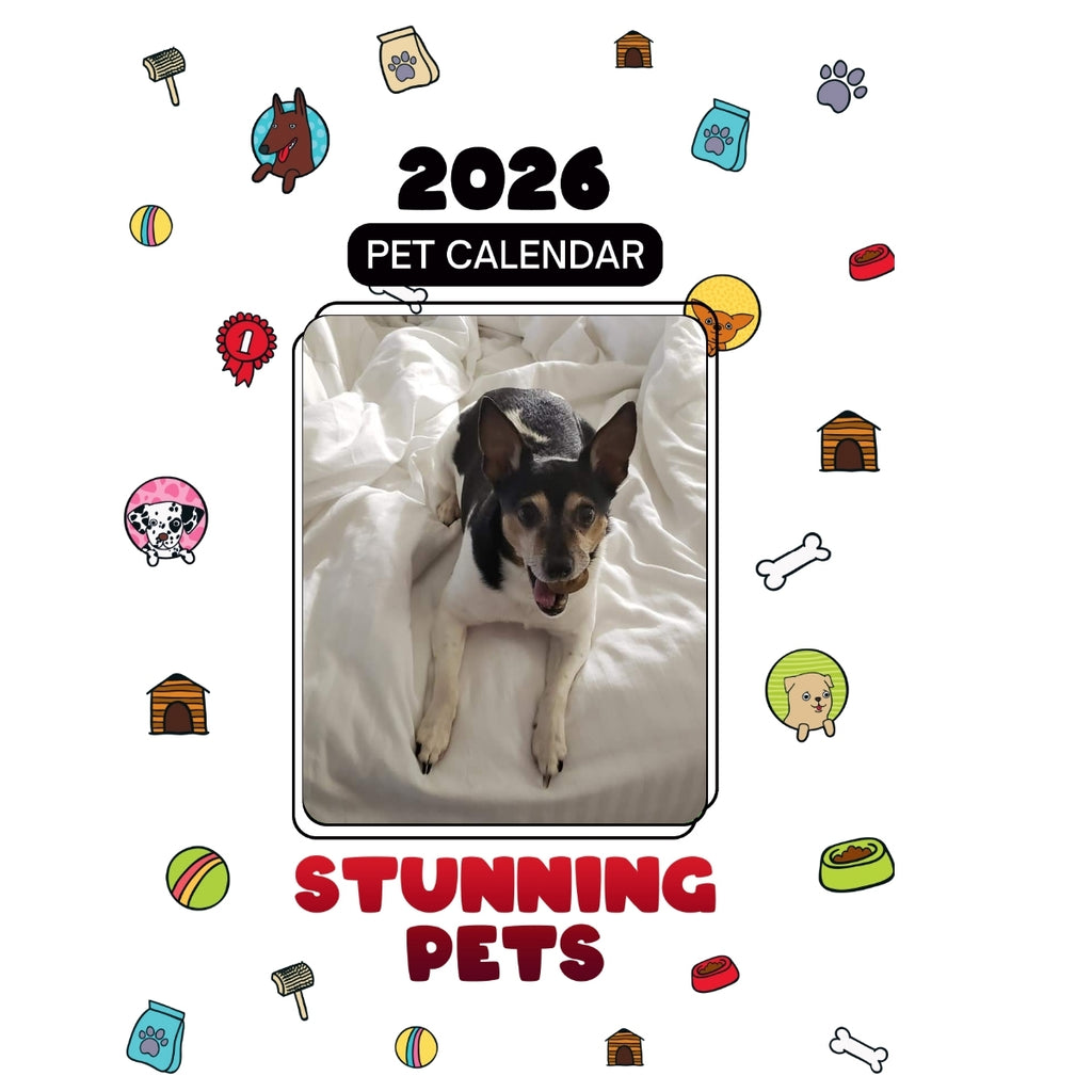 1 Headlines Stunning Pets: A 2026 Pet Calendar