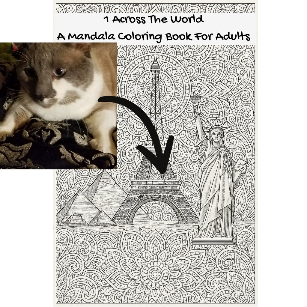 1 Across The World: A Mandala Coloring Book For Adults