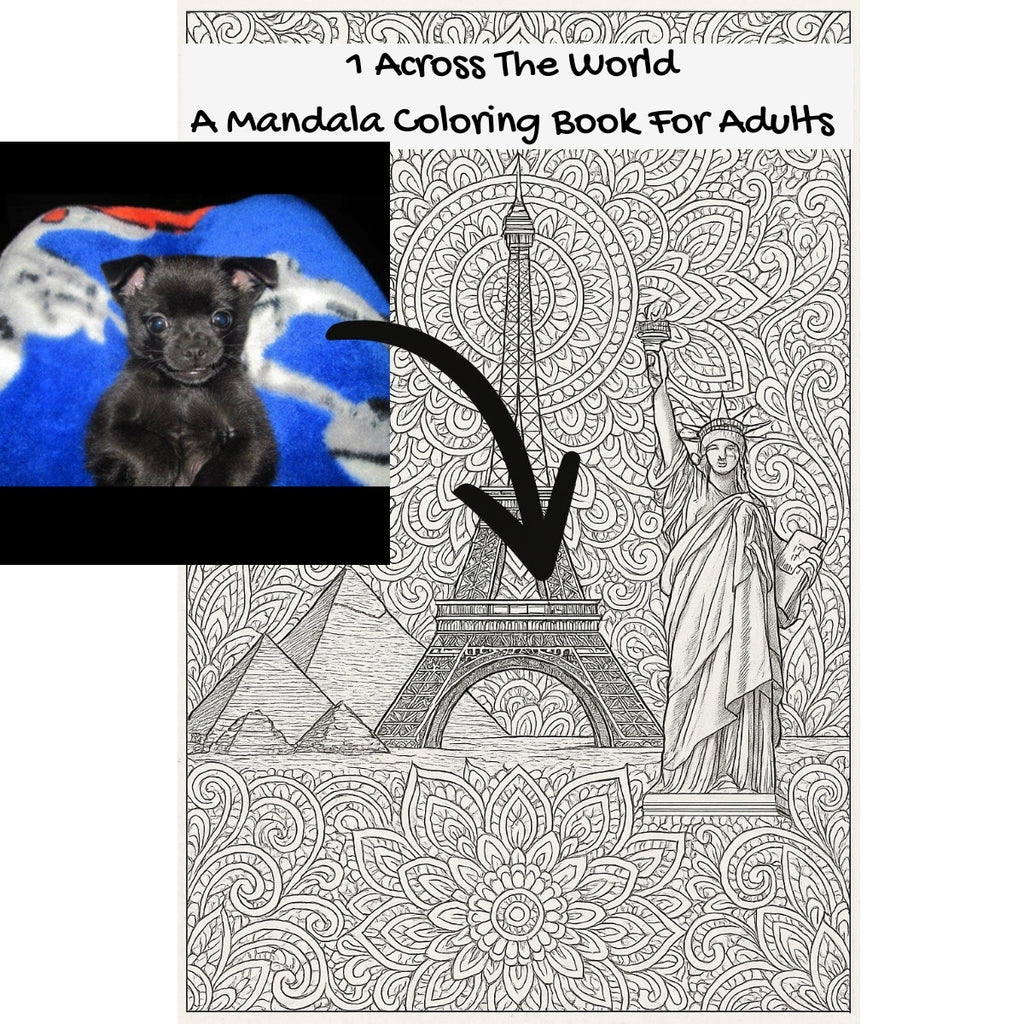 1 Across The World: A Mandala Coloring Book For Adults