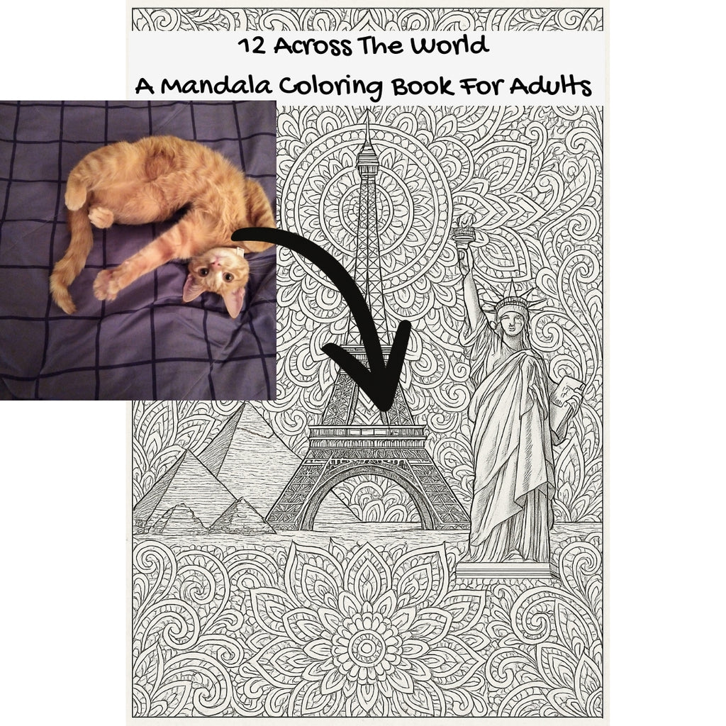 12 Across The World: A Mandala Coloring Book For Adults