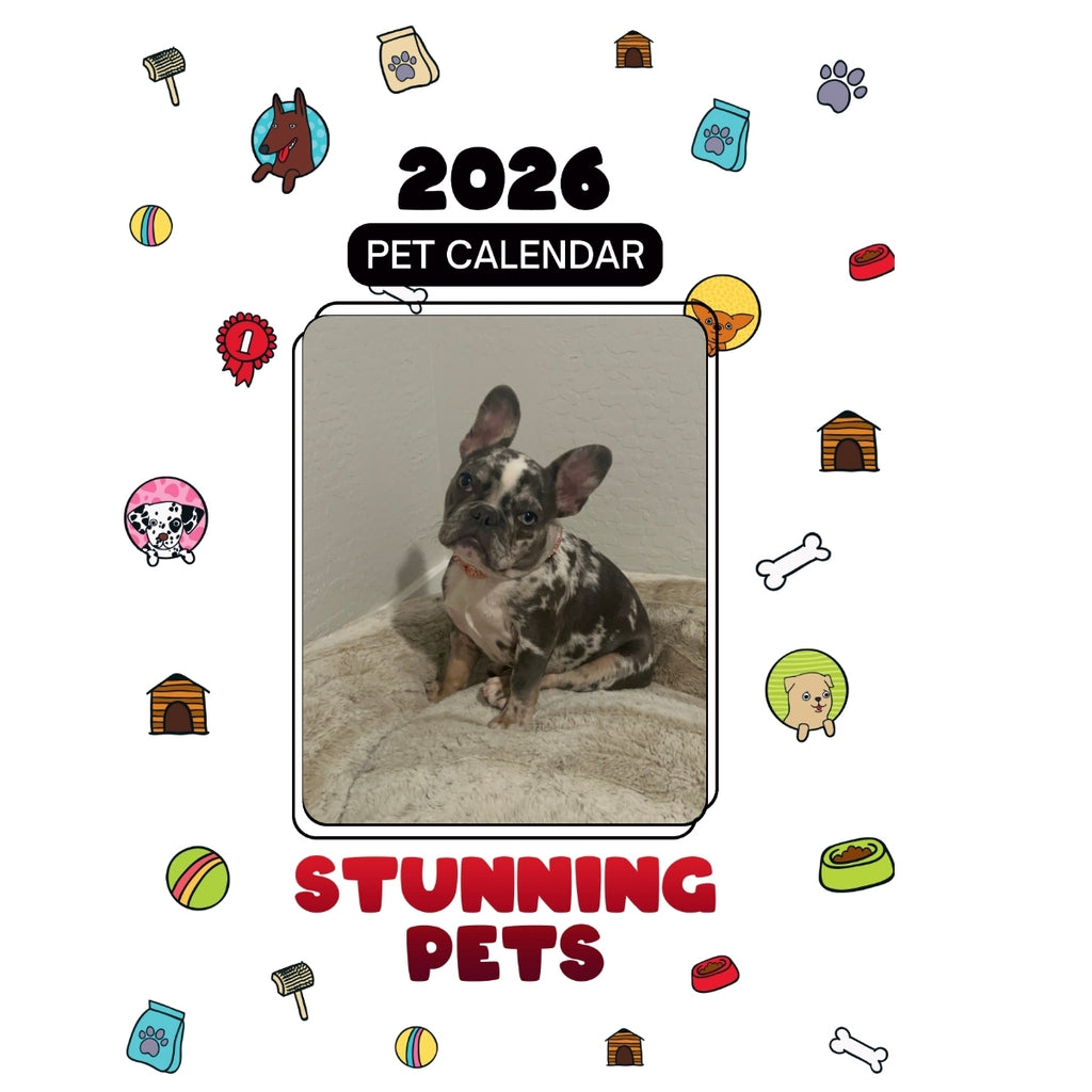 7 Headlines Stunning Pets: A 2026 Pet Calendar