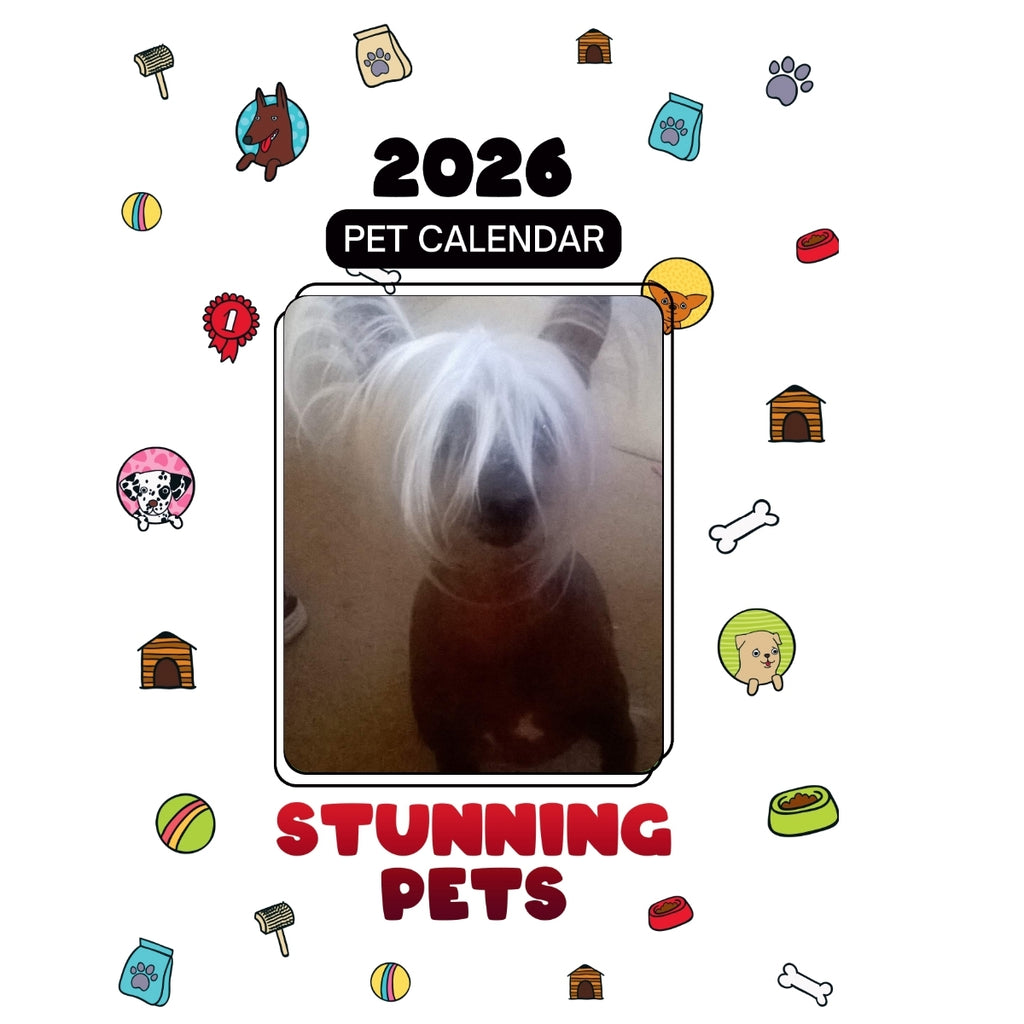 1 pet dog Headlines Stunning Pets: A 2026 Pet Calendar