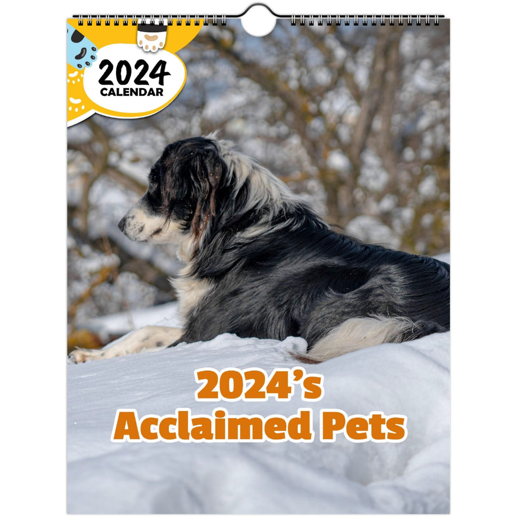 2024's Acclaimed Pets: 2024 Wall Calendar (Published)