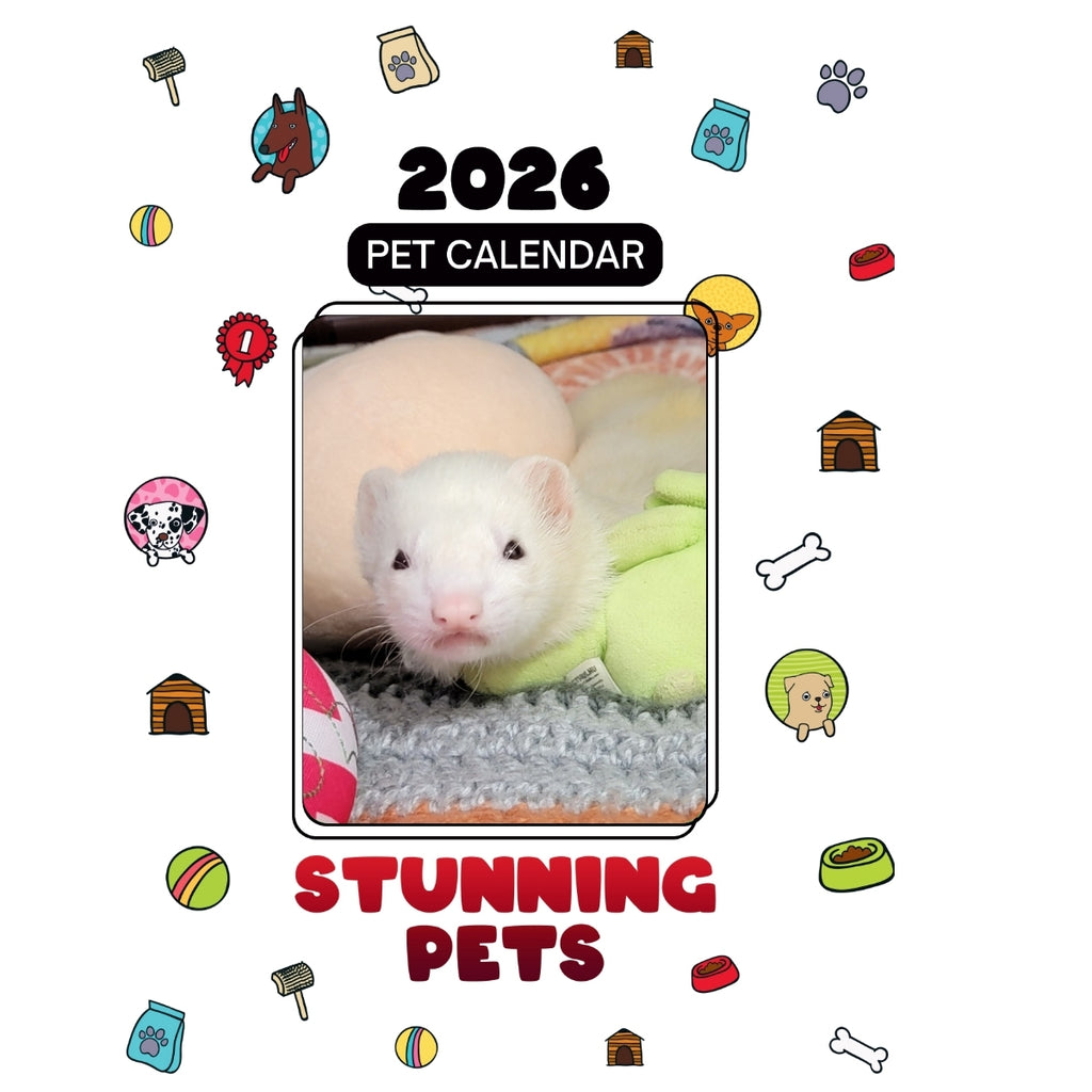 Ferret Bueller Headlines Stunning Pets: A 2026 Pet Calendar