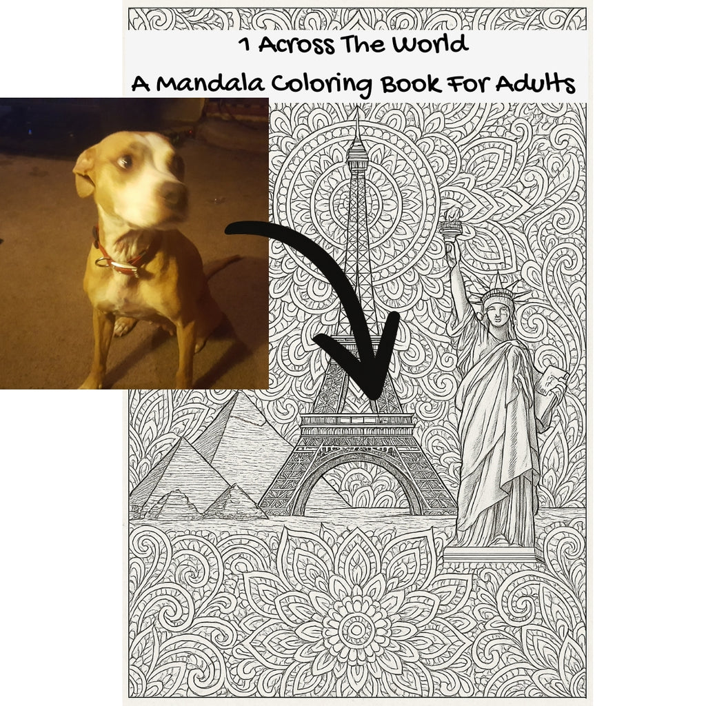 1 Across The World: A Mandala Coloring Book For Adults