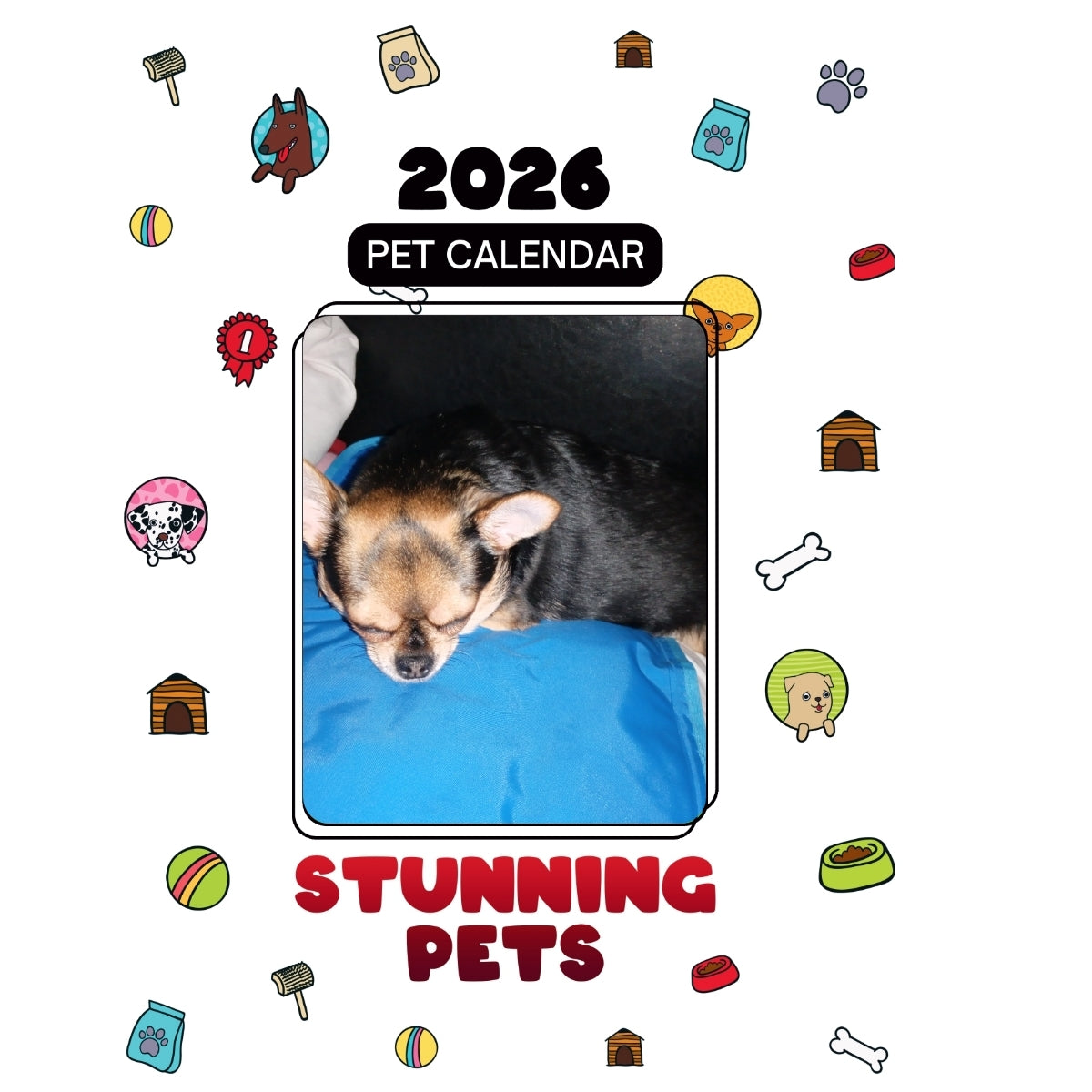 1 Headlines Stunning Pets: A 2026 Pet Calendar