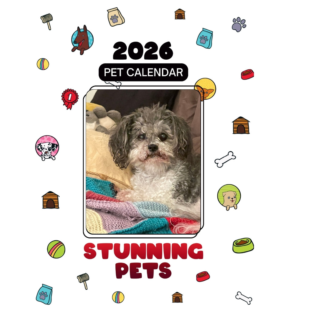 1st Headlines Stunning Pets: A 2026 Pet Calendar