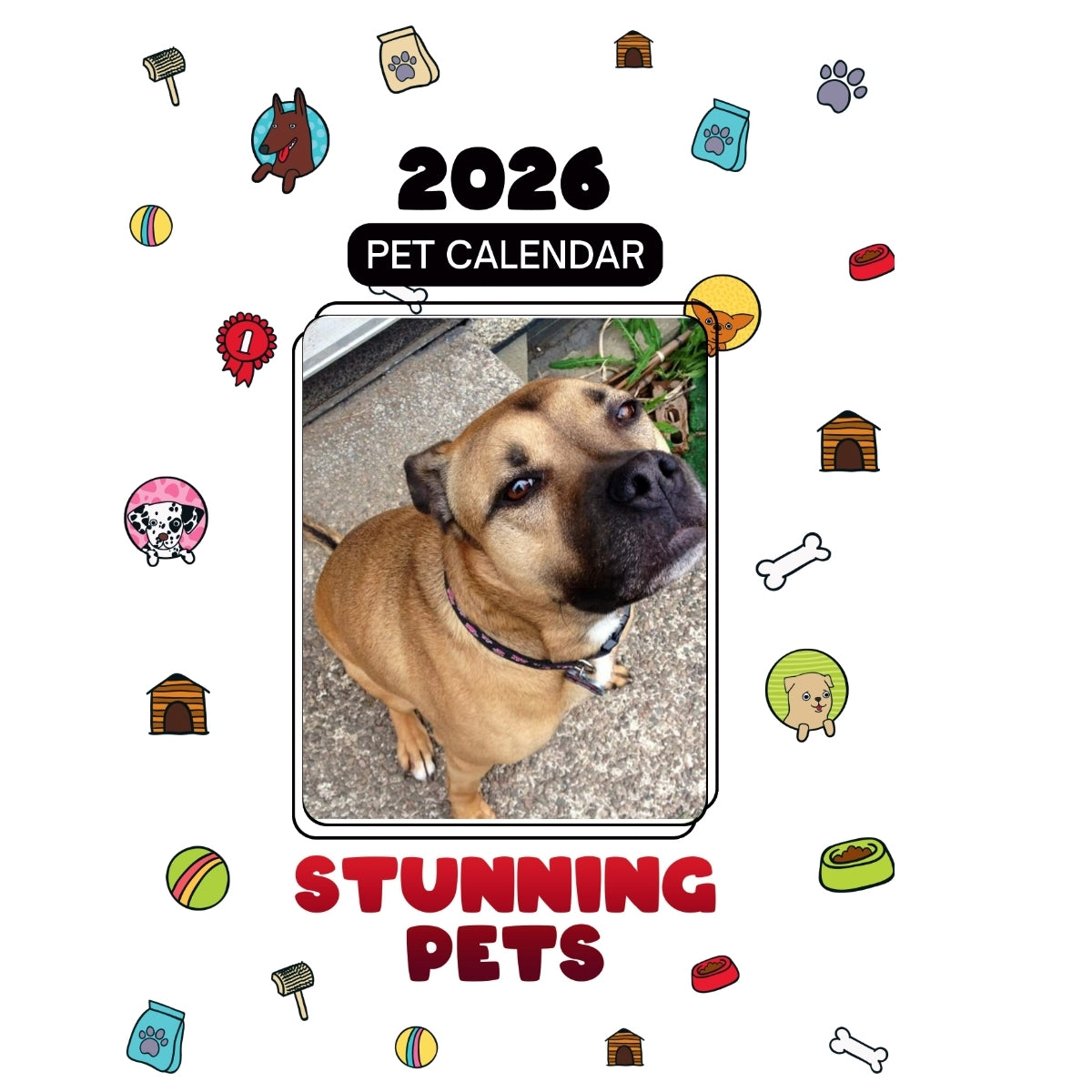 1 Headlines Stunning Pets: A 2026 Pet Calendar