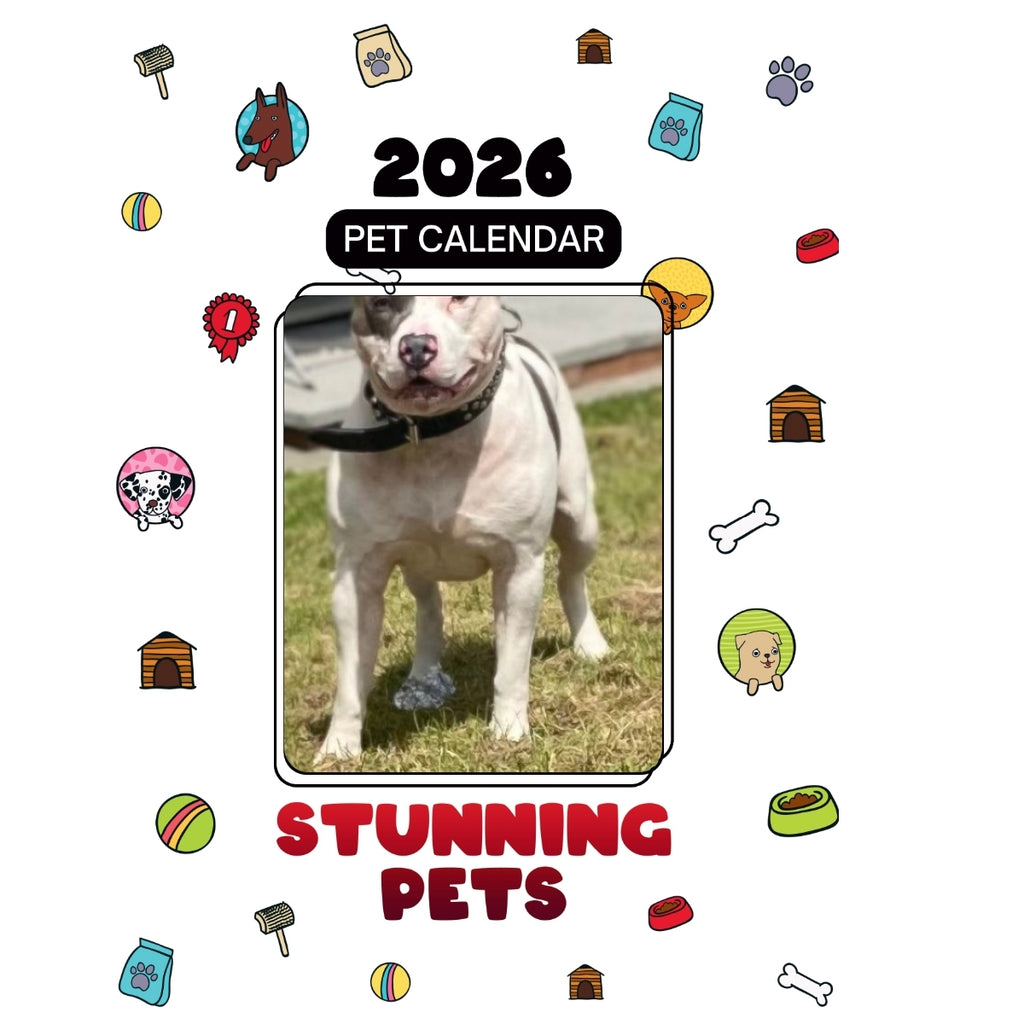 1-Ranger,2-Baxter Headlines Stunning Pets: A 2026 Pet Calendar