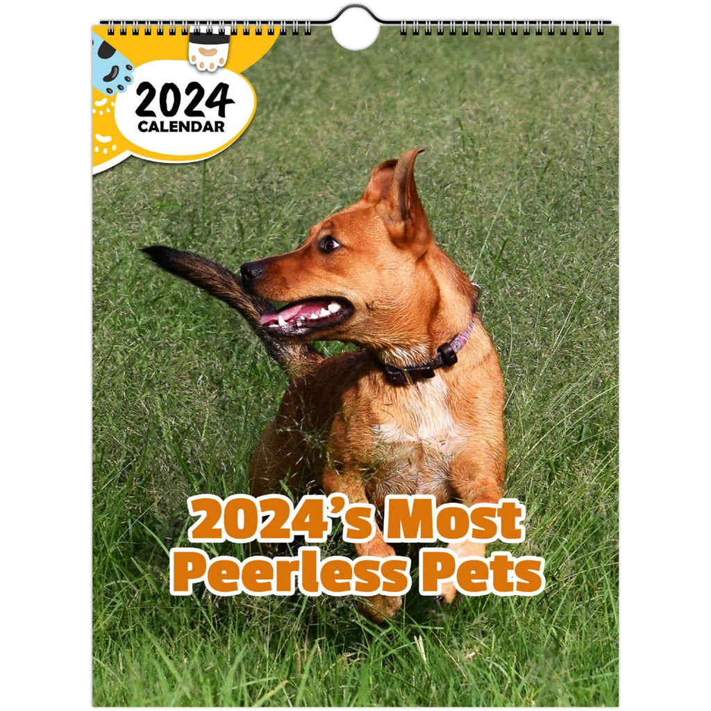 2024's Most Peerless Pets: 2024 Wall Calendar (Published)