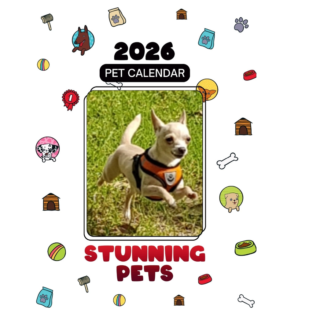 1 dog Headlines Stunning Pets: A 2026 Pet Calendar