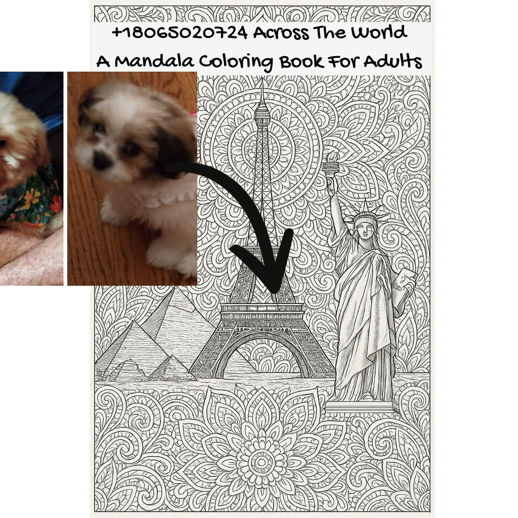 +18065020724 Across The World: A Mandala Coloring Book For Adults