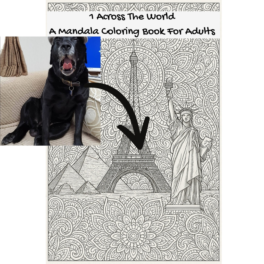1 Across The World: A Mandala Coloring Book For Adults