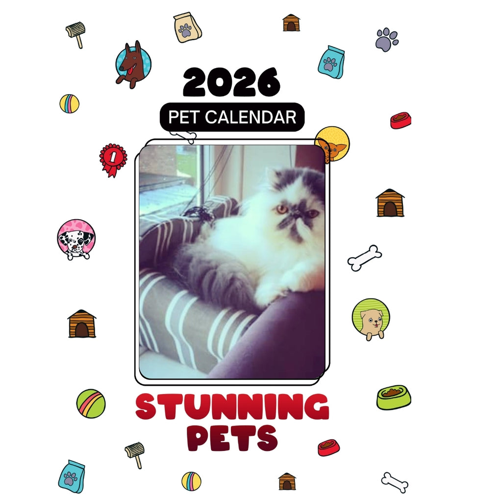 1 Headlines Stunning Pets: A 2026 Pet Calendar