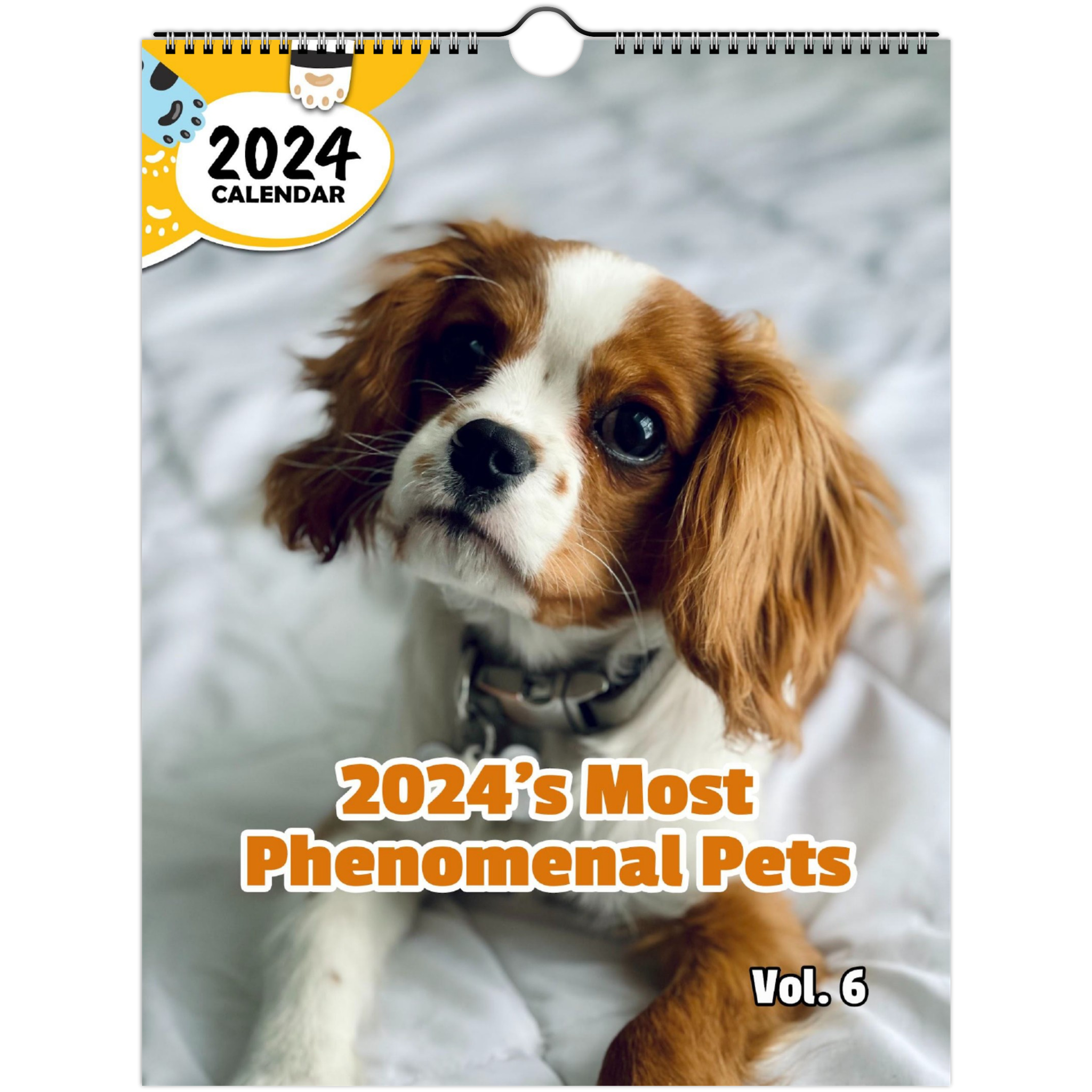 2024's Most Phenomenal Pets Volume Six: 2024 Wall Calendar (Published)