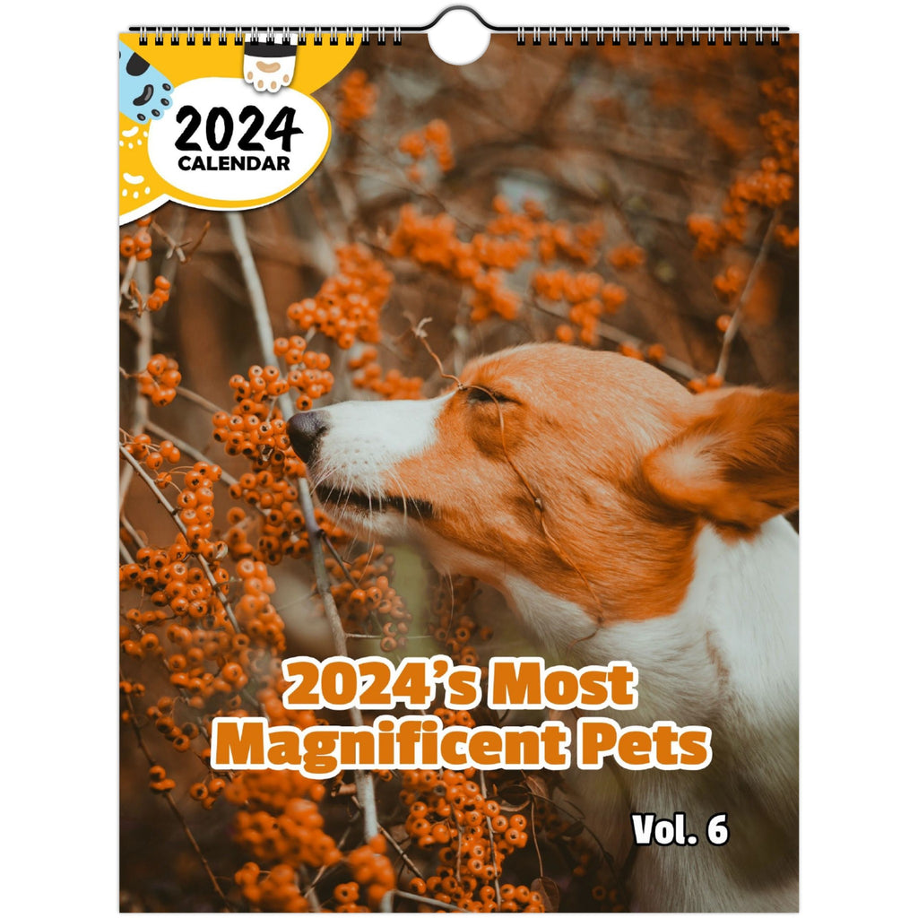 2024's Most Magnificent Pets Volume Six: 2024 Wall Calendar (Published)