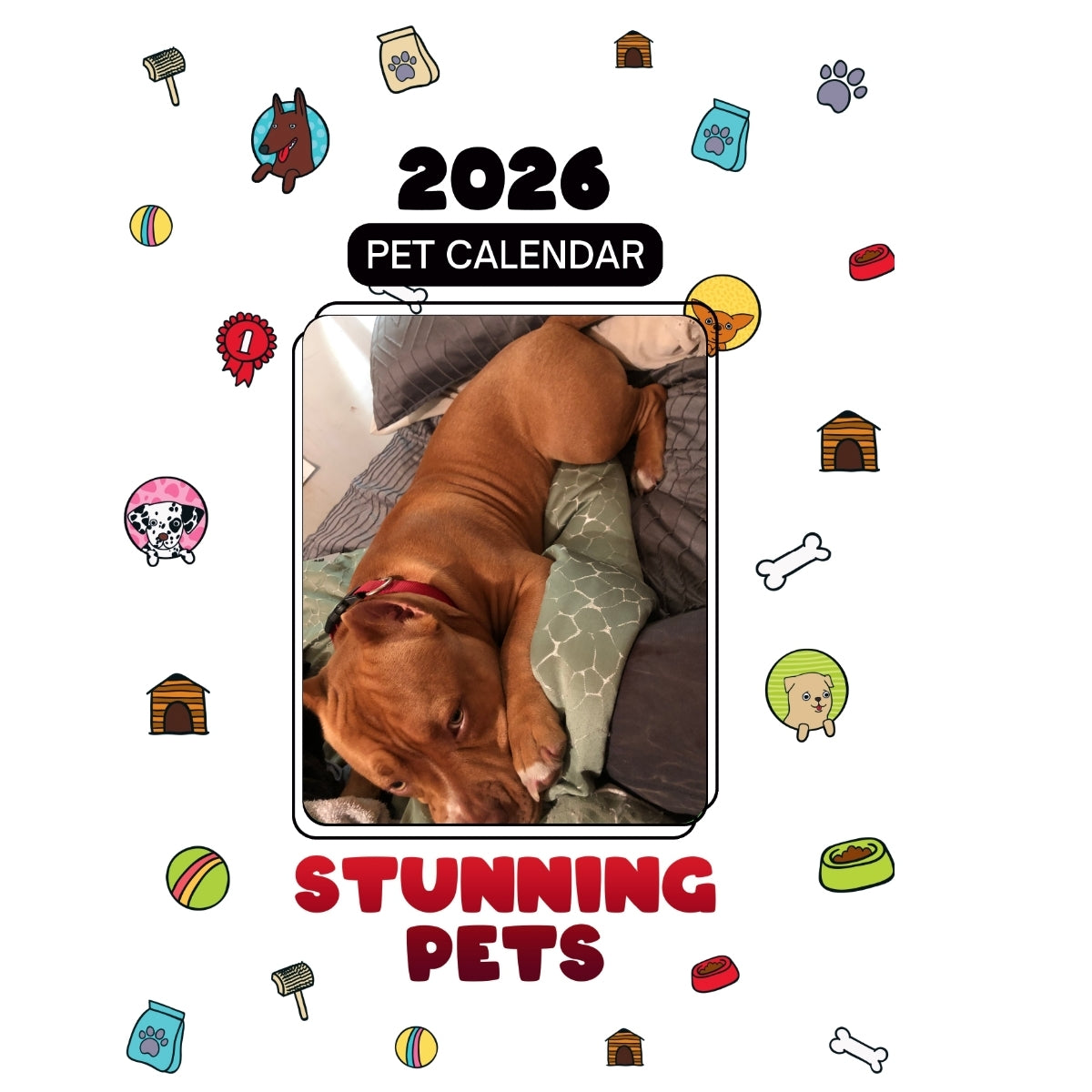 Dango Headlines Stunning Pets: A 2026 Pet Calendar