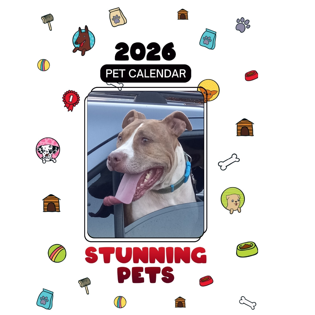 360-420-8371 Headlines Stunning Pets: A 2026 Pet Calendar