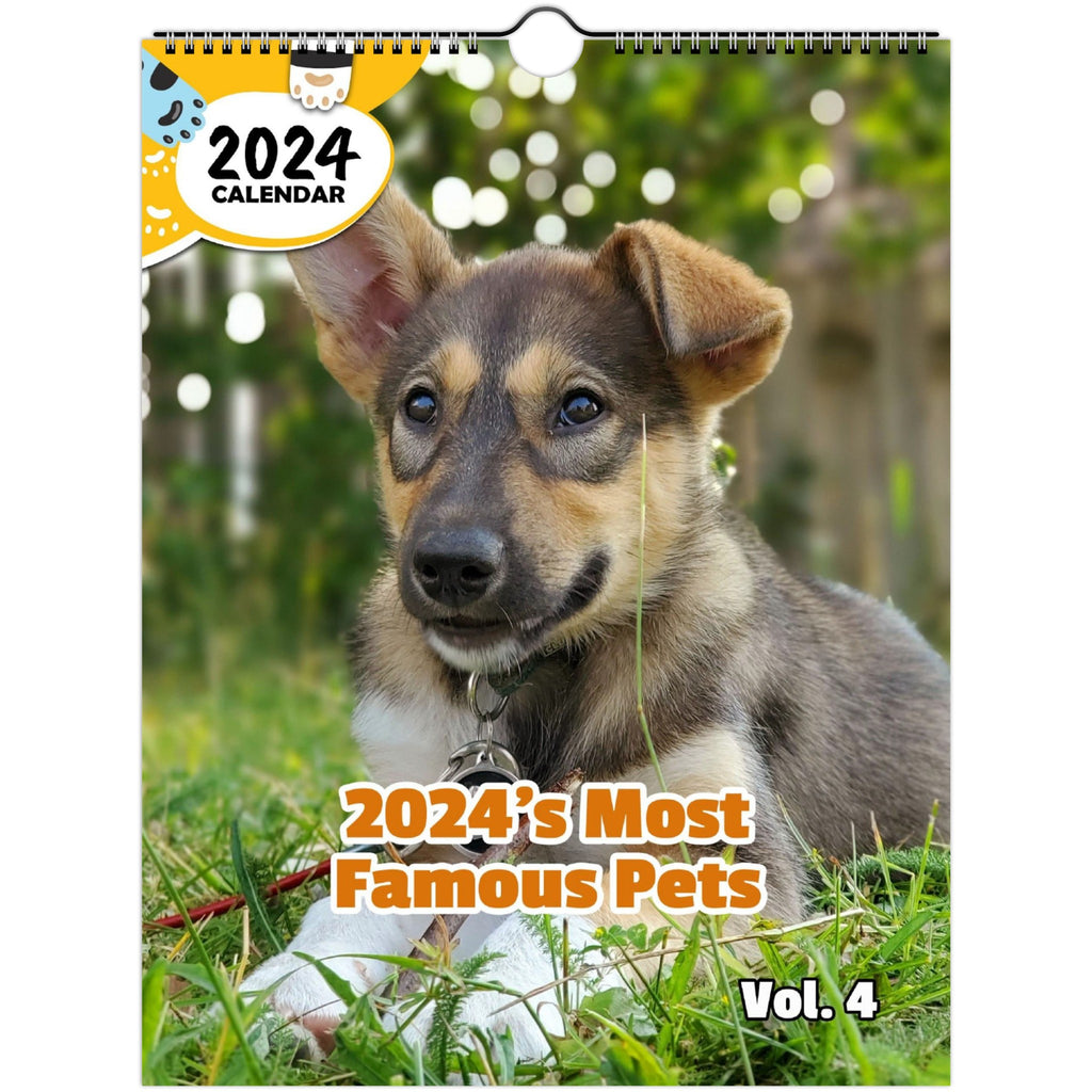 2024's Most Famous Pets Volume Four: 2024 Wall Calendar (Published)