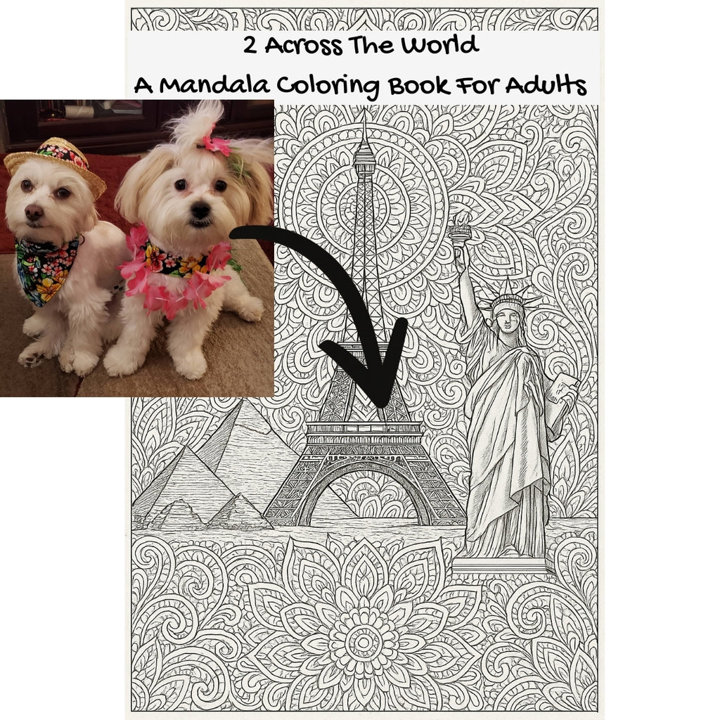 2 Across The World: A Mandala Coloring Book For Adults