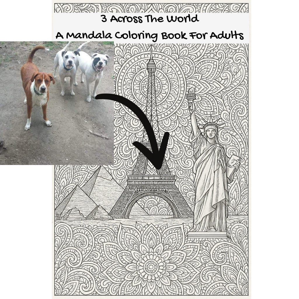 3 Across The World: A Mandala Coloring Book For Adults
