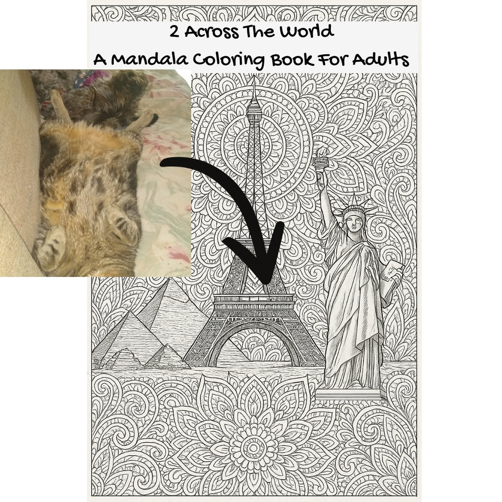 2 Across The World: A Mandala Coloring Book For Adults