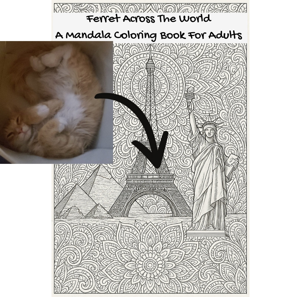 Ferret Across The World: A Mandala Coloring Book For Adults
