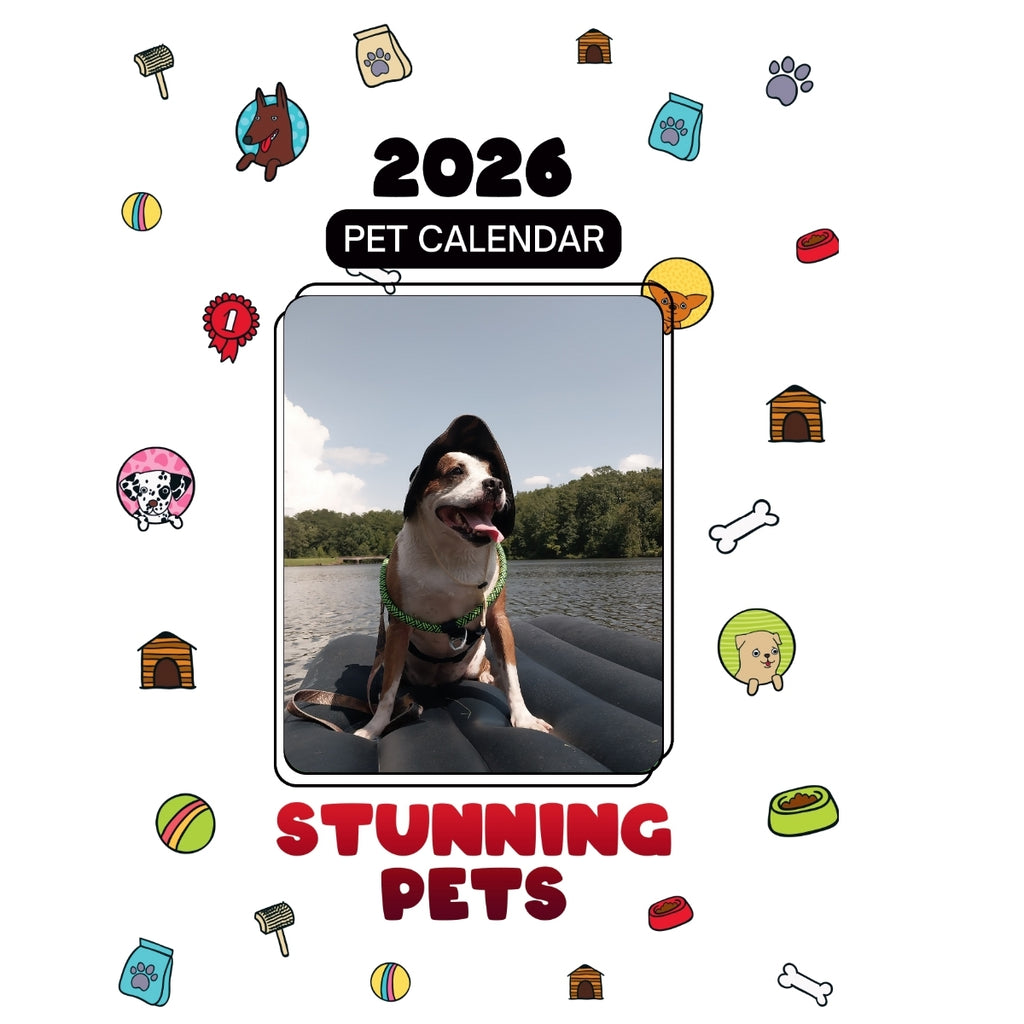 4 Feet Headlines Stunning Pets: A 2026 Pet Calendar