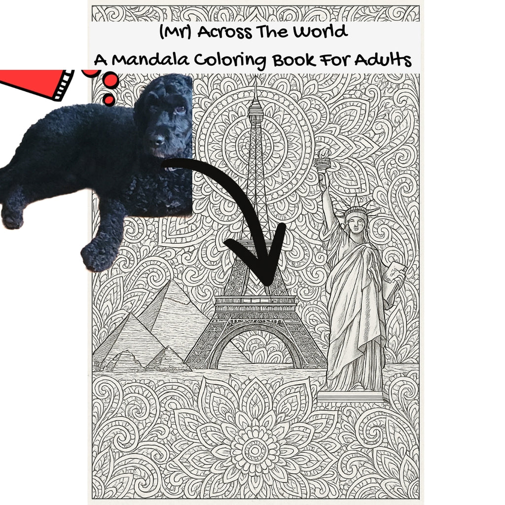 (Mr) Across The World: A Mandala Coloring Book For Adults