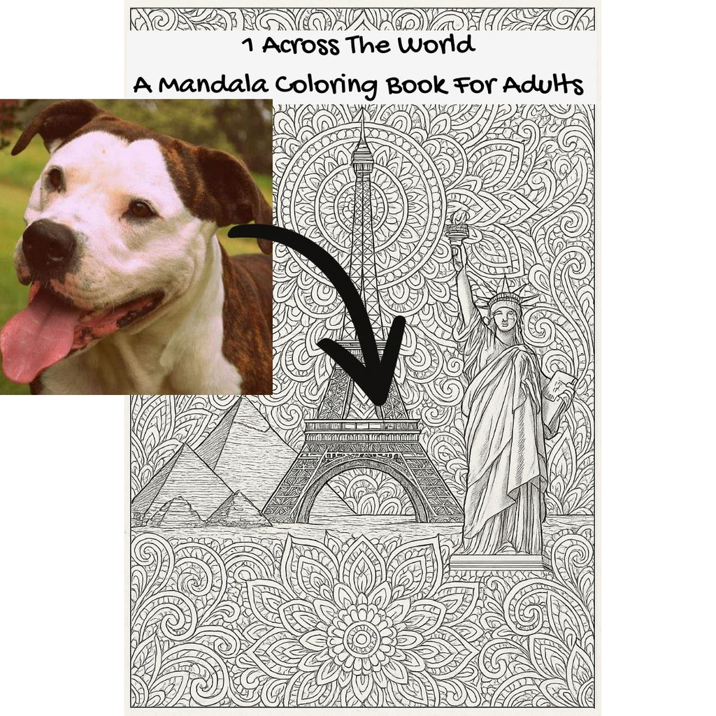 1 Across The World: A Mandala Coloring Book For Adults