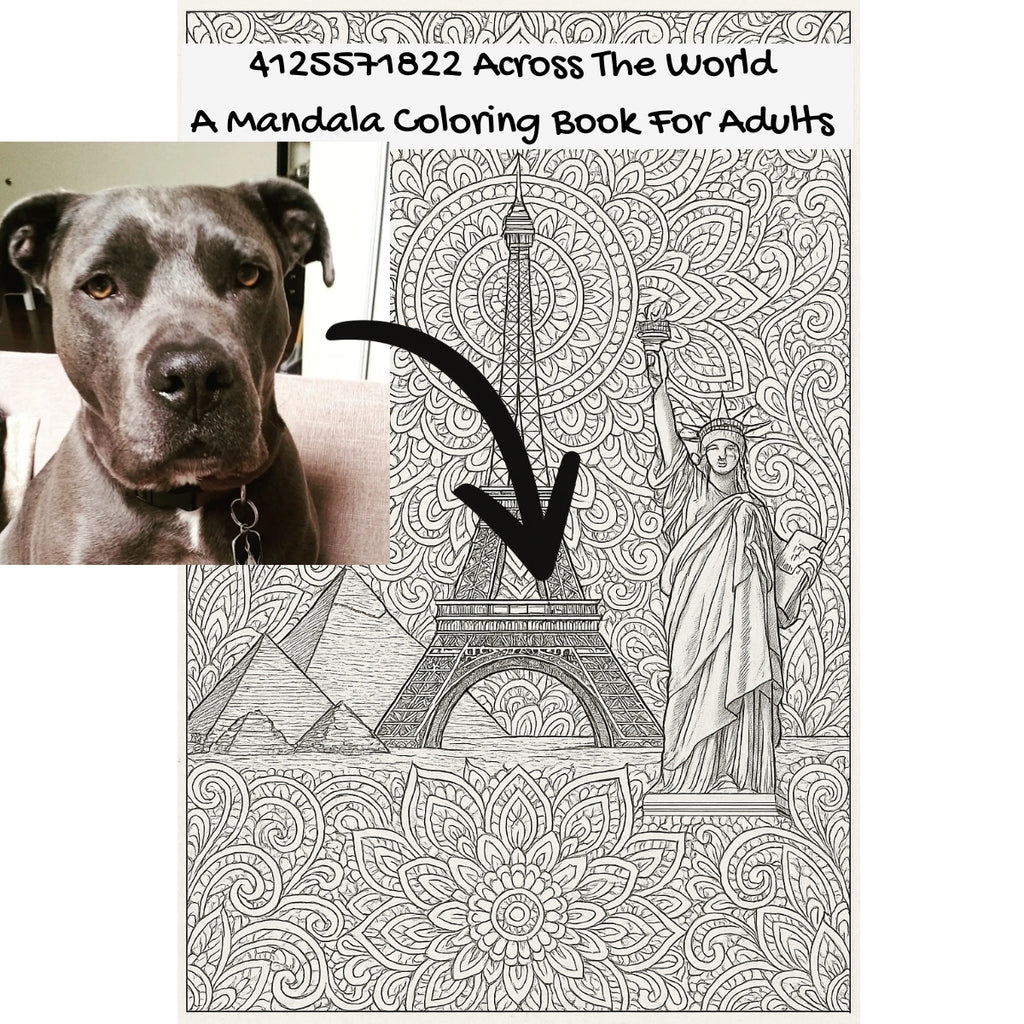 4125571822 Across The World: A Mandala Coloring Book For Adults