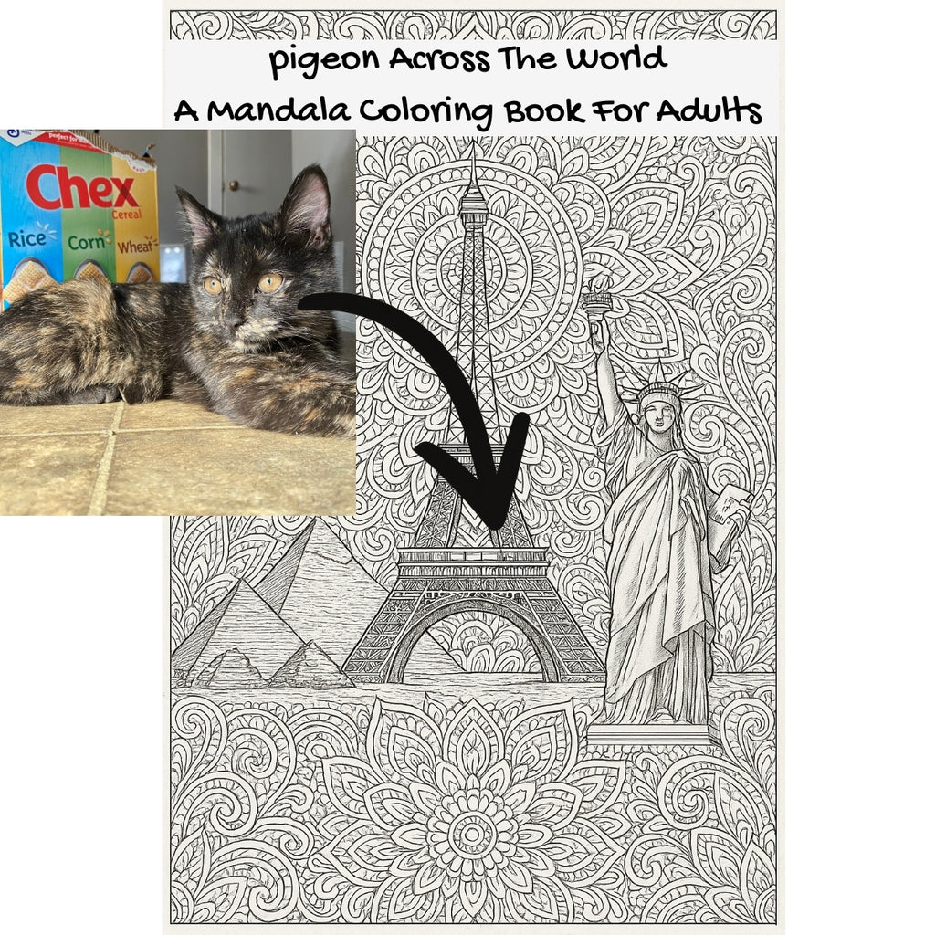 pigeon Across The World: A Mandala Coloring Book For Adults