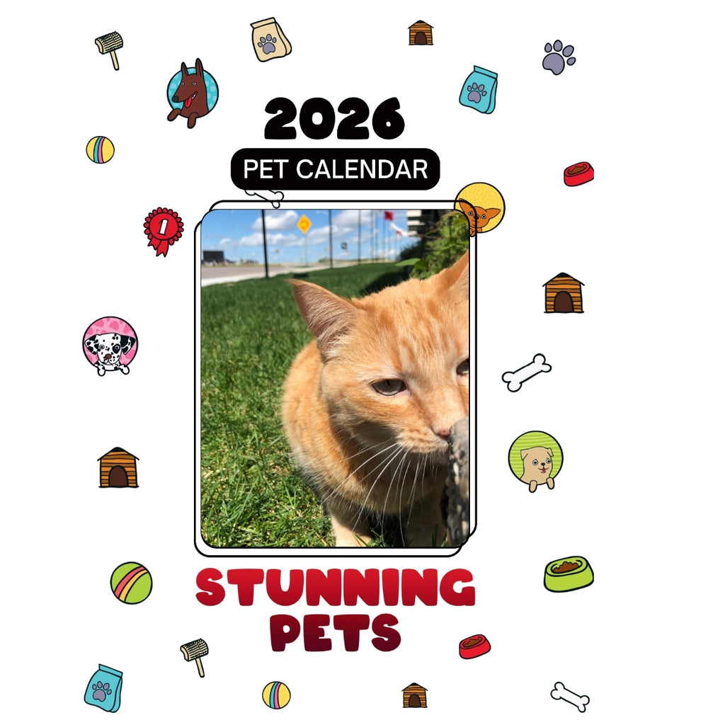 1 Headlines Stunning Pets: A 2026 Pet Calendar