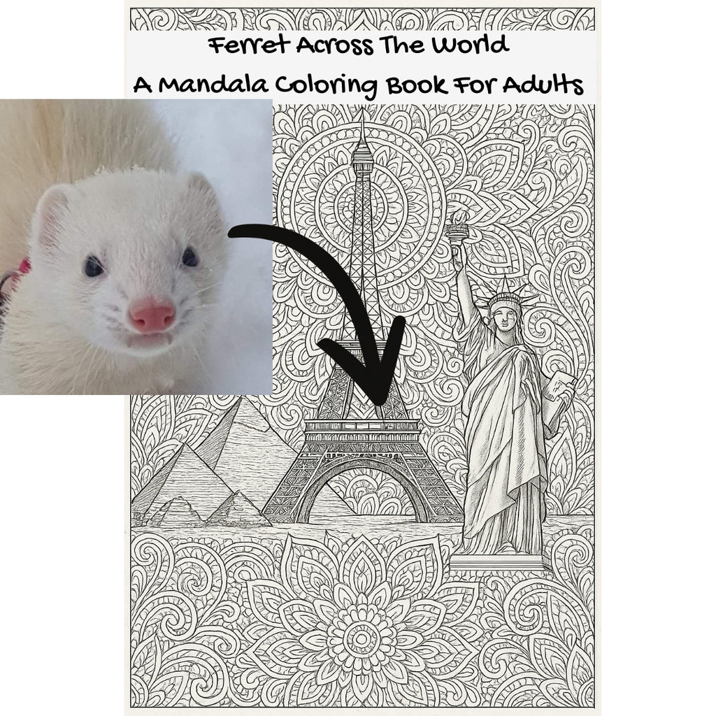 Ferret Across The World: A Mandala Coloring Book For Adults