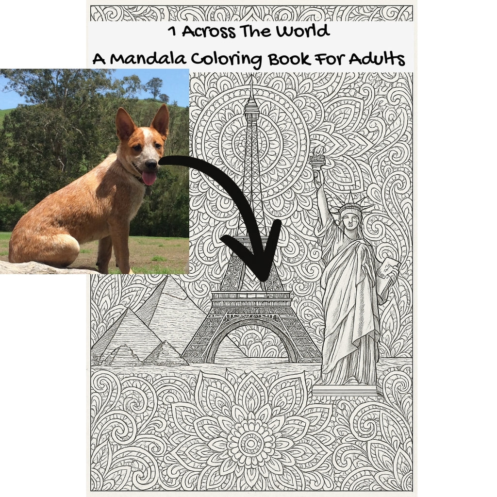 1 Across The World: A Mandala Coloring Book For Adults
