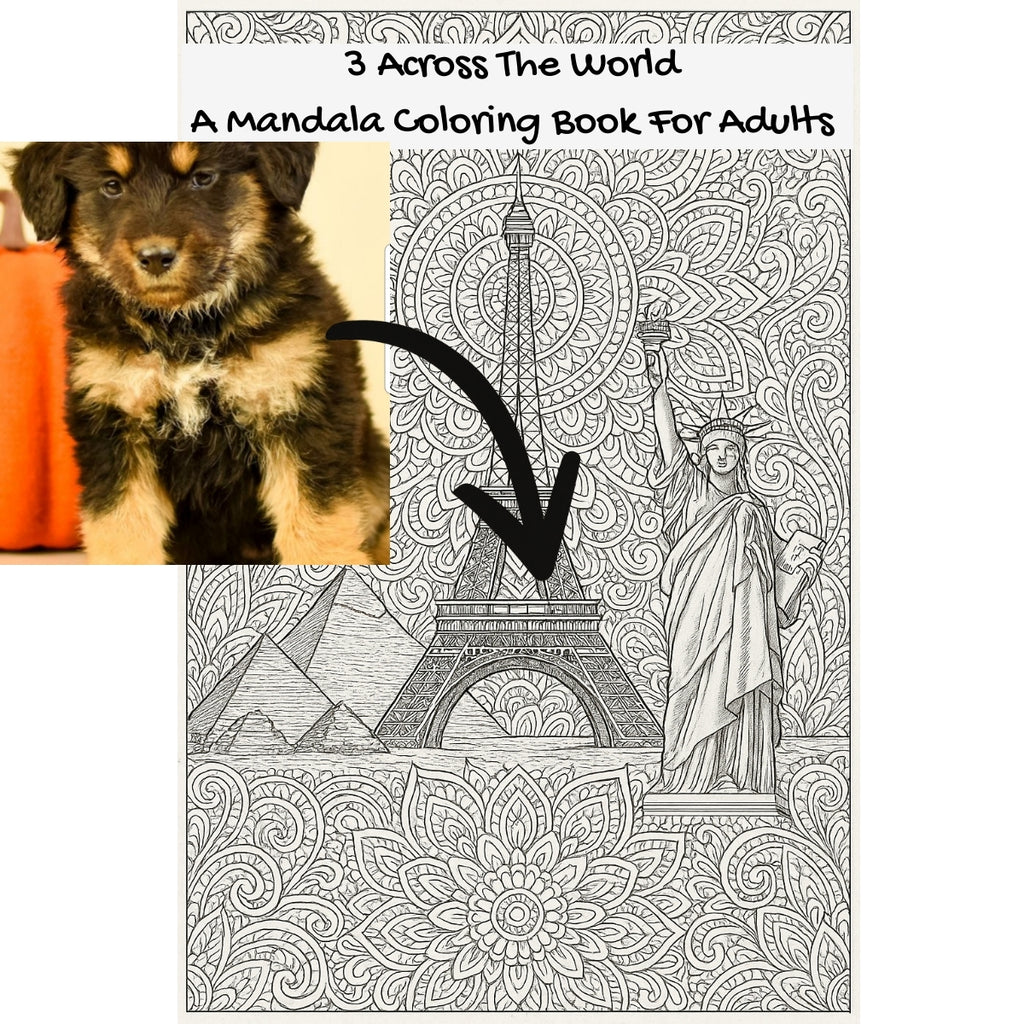 3 Across The World: A Mandala Coloring Book For Adults