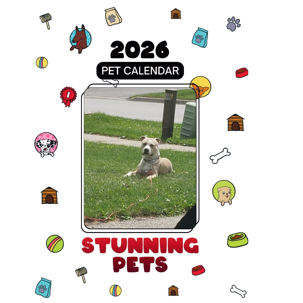 1 Headlines Stunning Pets: A 2026 Pet Calendar