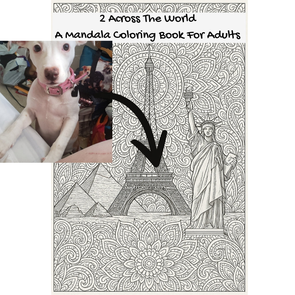 2 Across The World: A Mandala Coloring Book For Adults