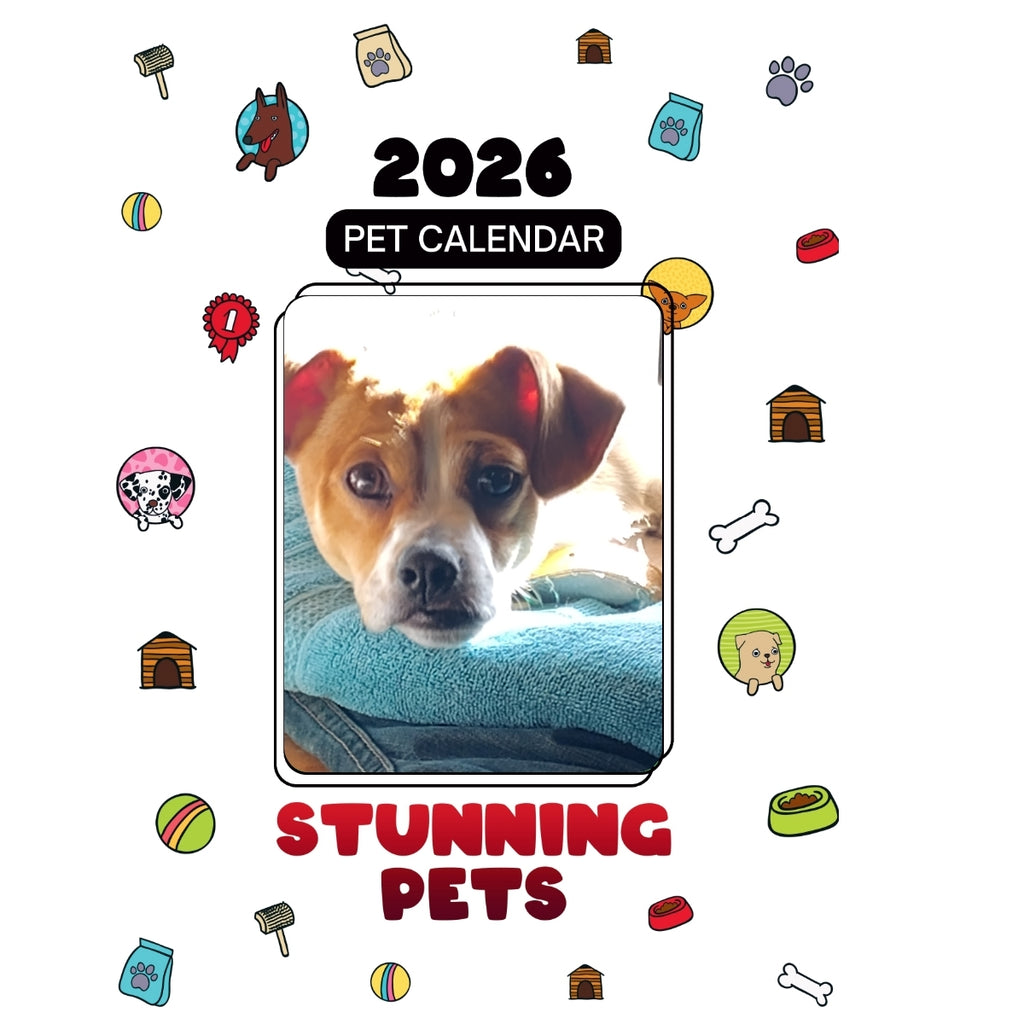 (King) Louie Headlines Stunning Pets: A 2026 Pet Calendar