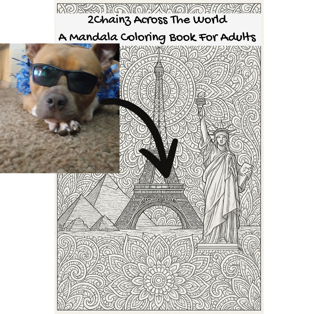 2Chainz Across The World: A Mandala Coloring Book For Adults