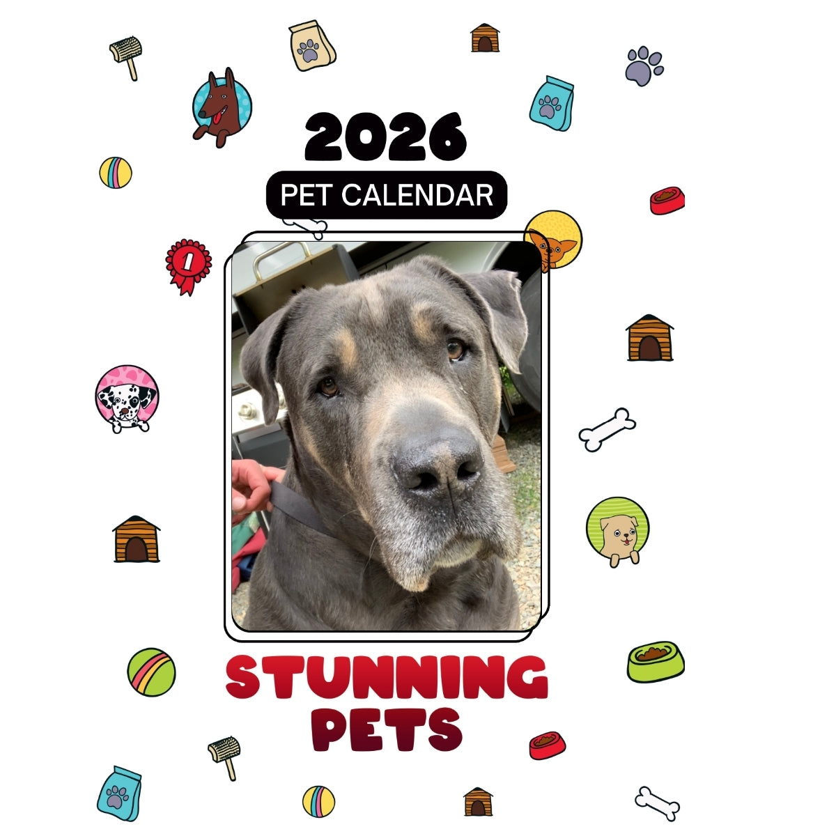 Italian Bull Mastiff Headlines Stunning Pets: A 2026 Pet Calendar